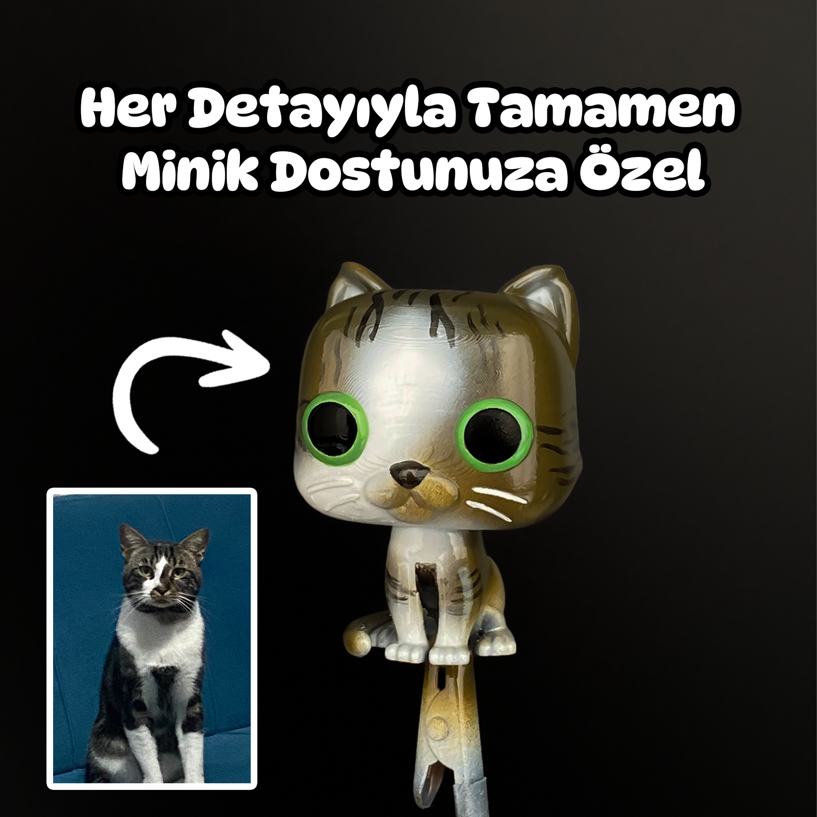 Miino Pop Evcil Hayvan
