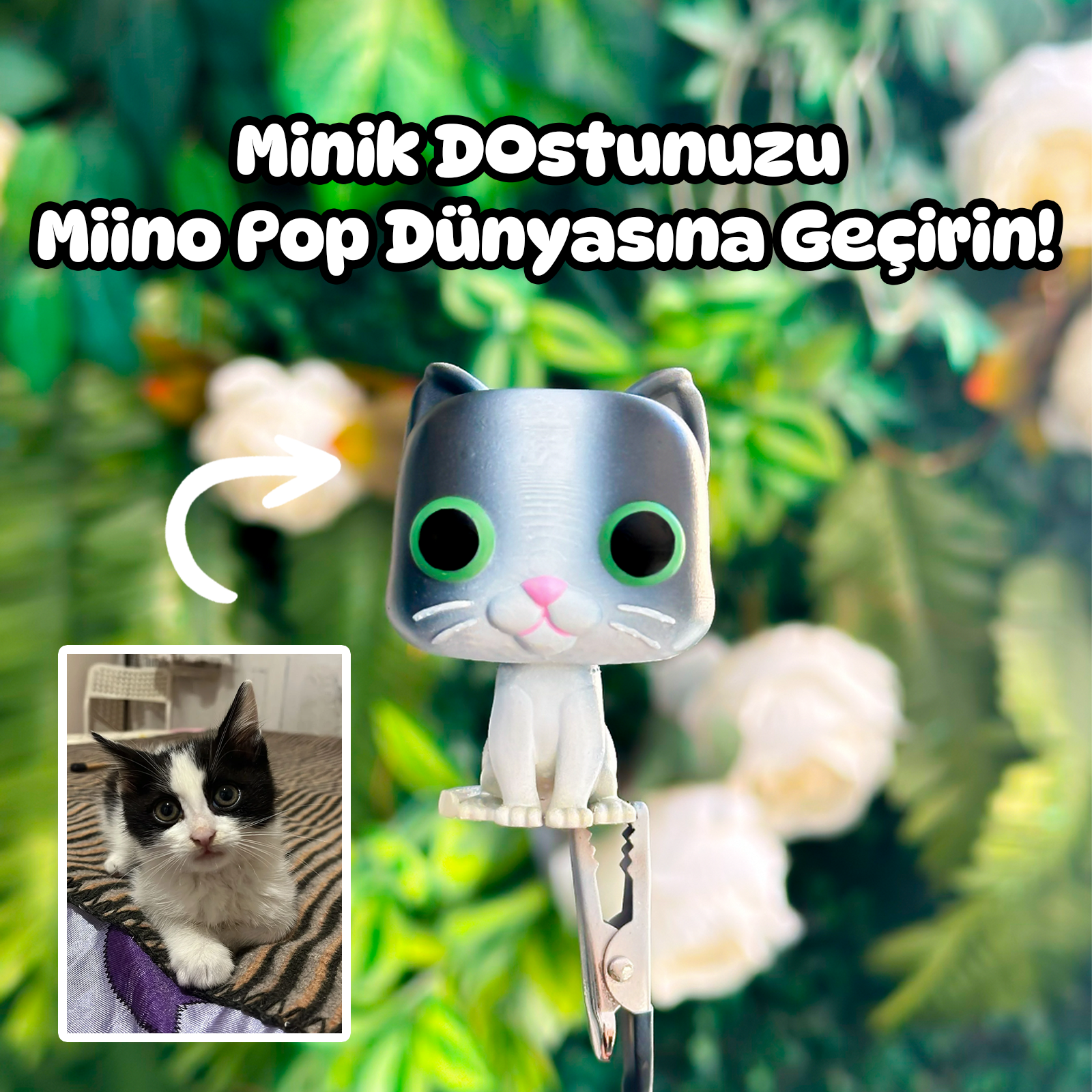 Miino Pop Evcil Hayvan