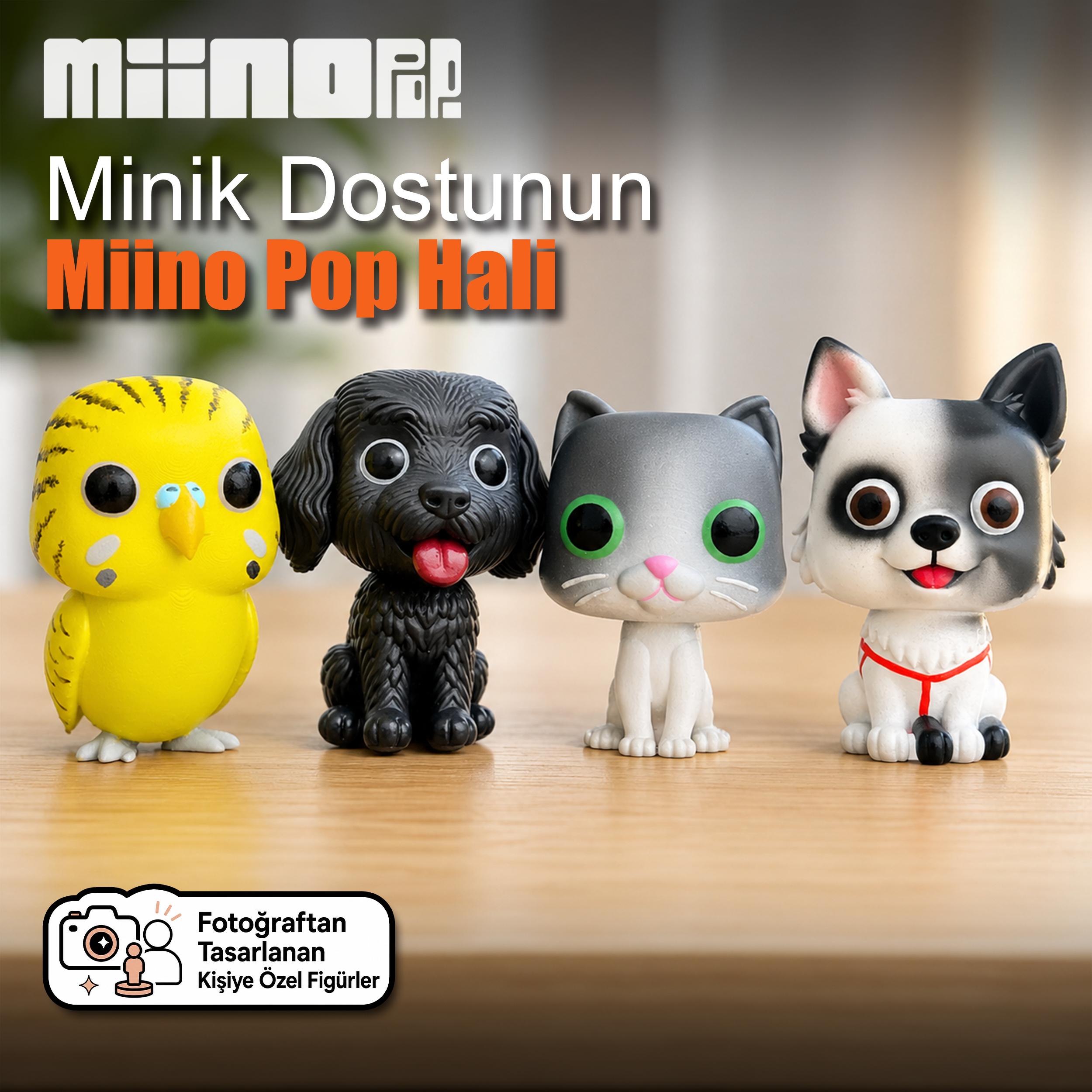 Miino Pop Evcil Hayvan